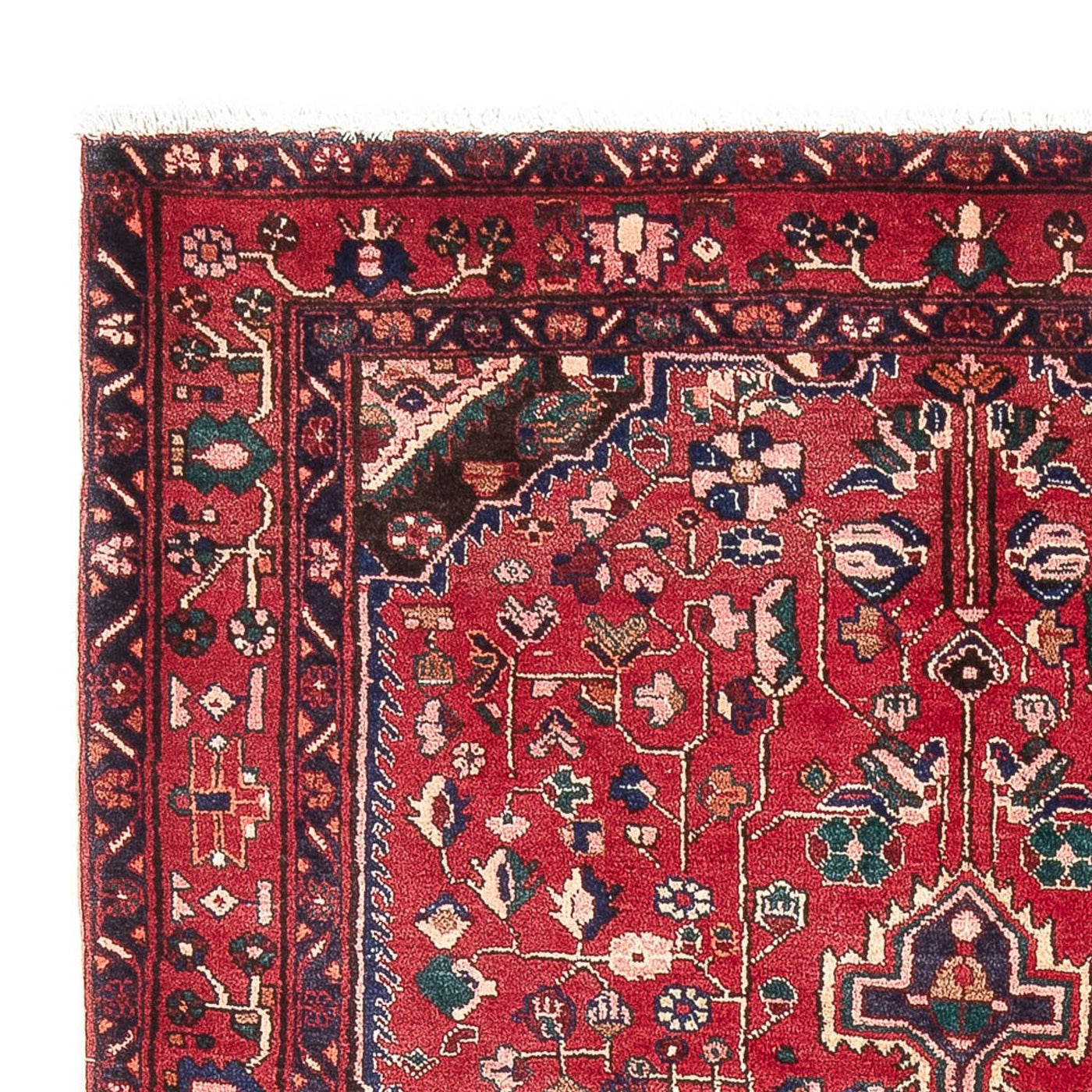 Kolyai Tapijt 237x152cm - Perzisch tapijt