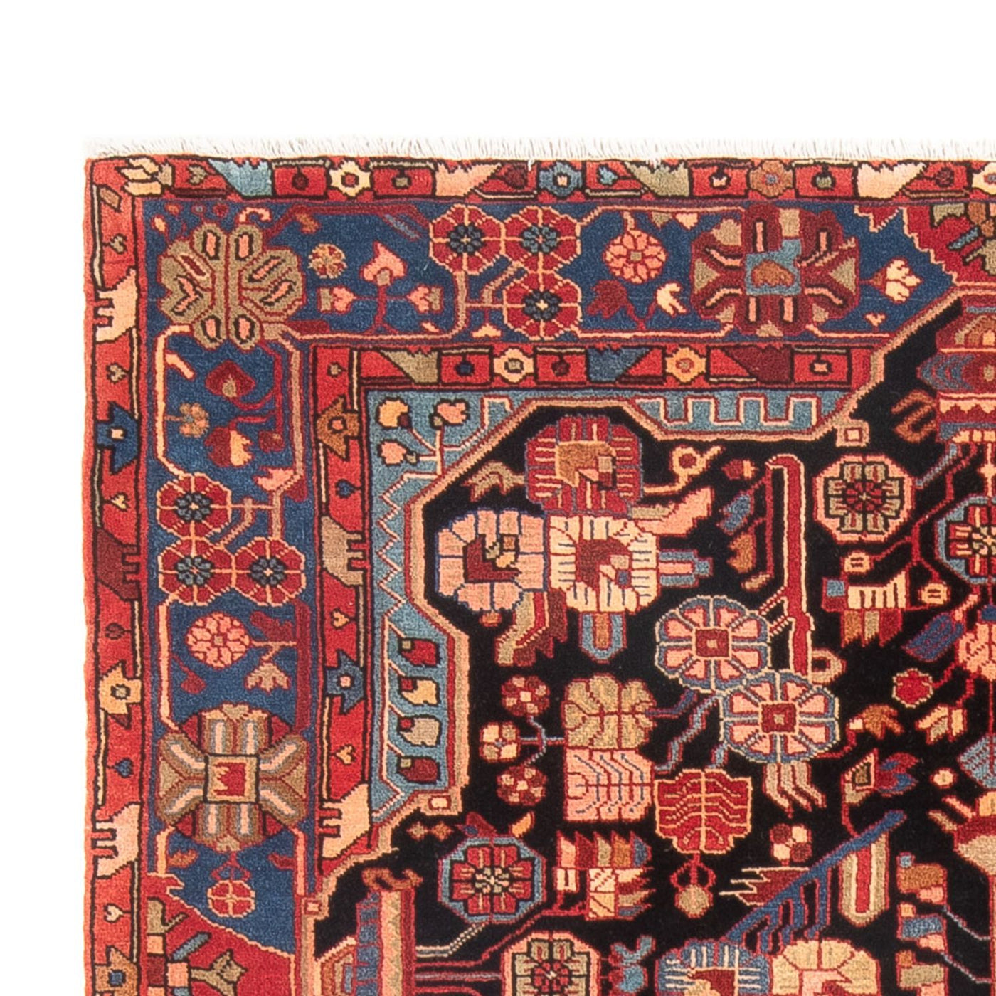 Nahavand Tapijt 244x150cm - Perzisch tapijt