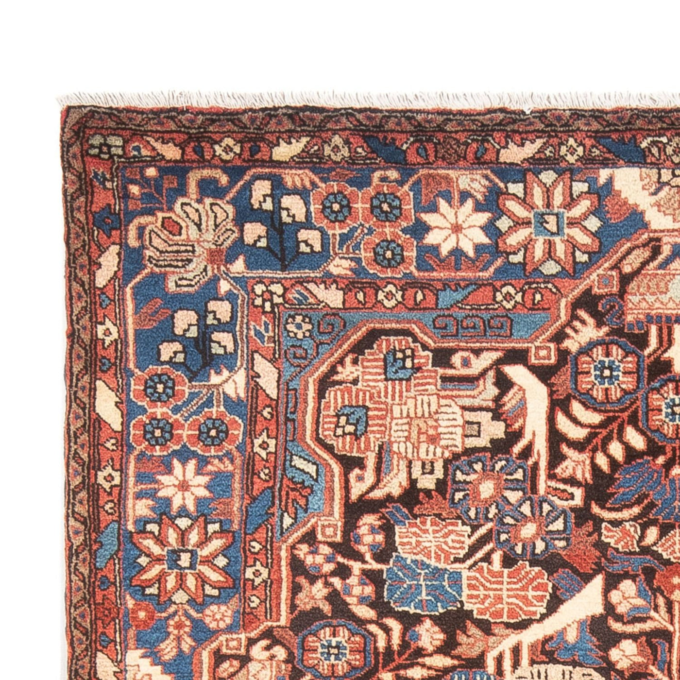 Nahavand Tapijt 244x155cm - Perzisch tapijt