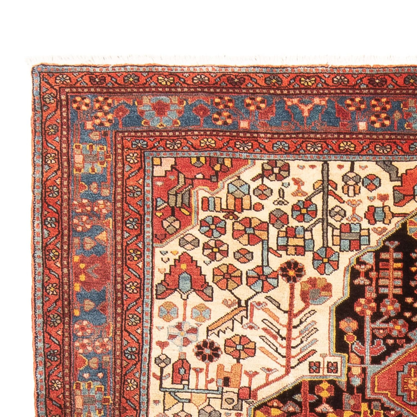 Nahavand Tapijt 234x153cm - Perzisch tapijt