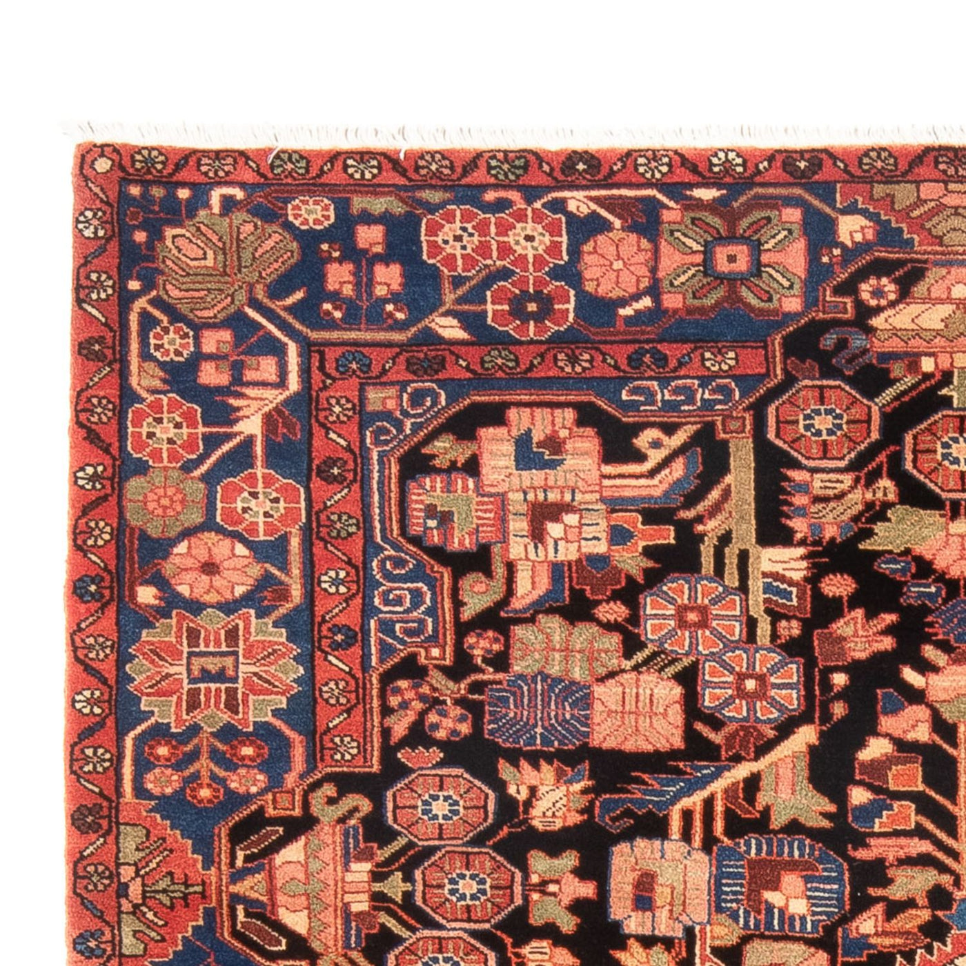 Nahavand Tapijt 234x158cm - Perzisch tapijt
