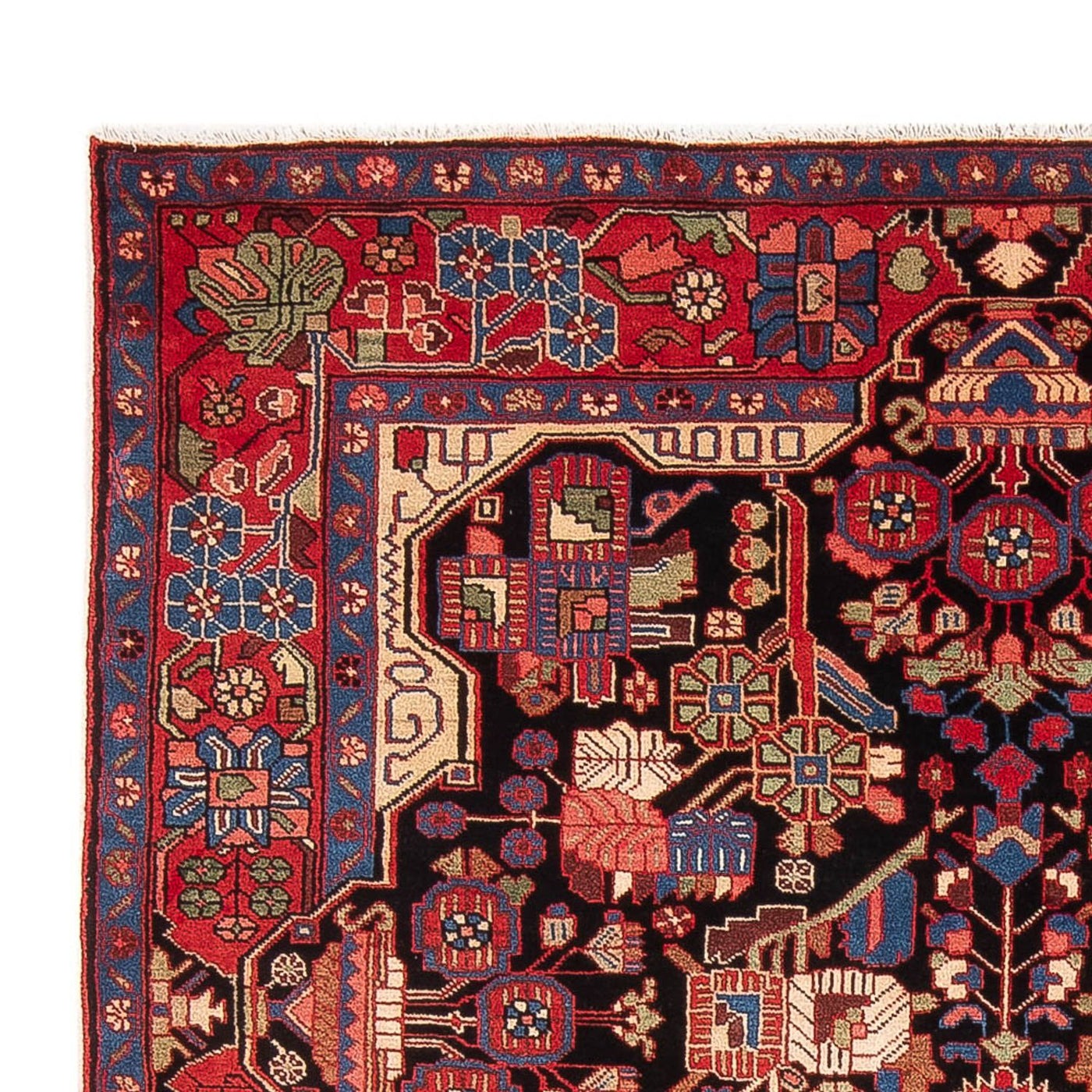 Nahavand Tapijt 240x153cm - Perzisch tapijt