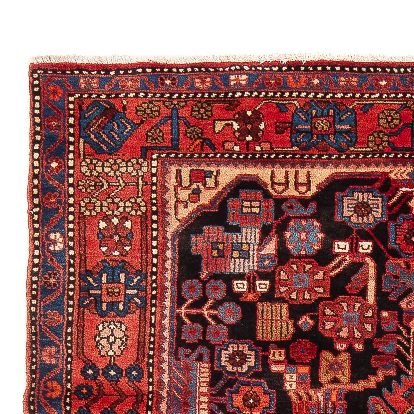 Nahavand Tapijt 220x157cm - Perzisch tapijt