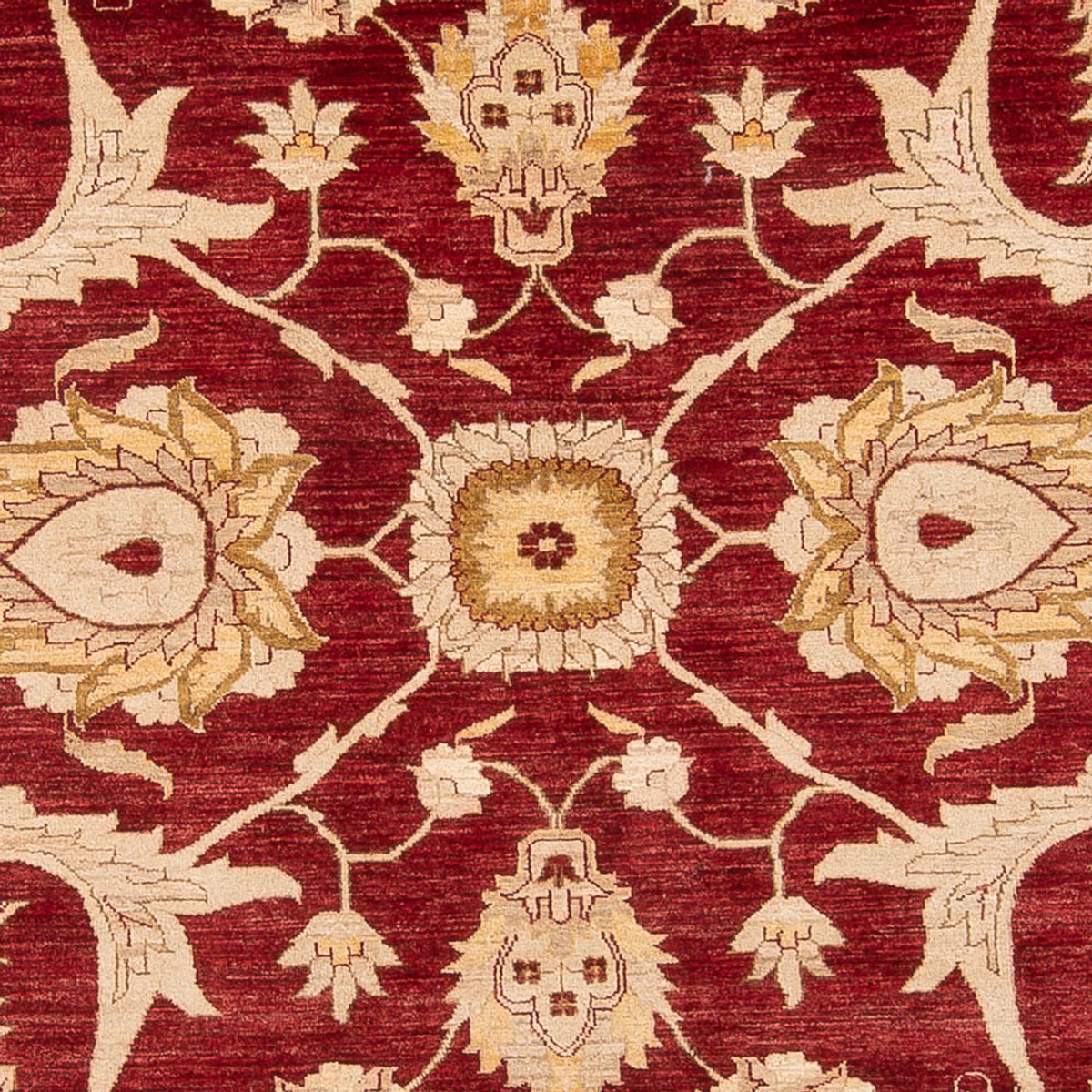 Ziegler tapijt - 371 x 298 cm - rood