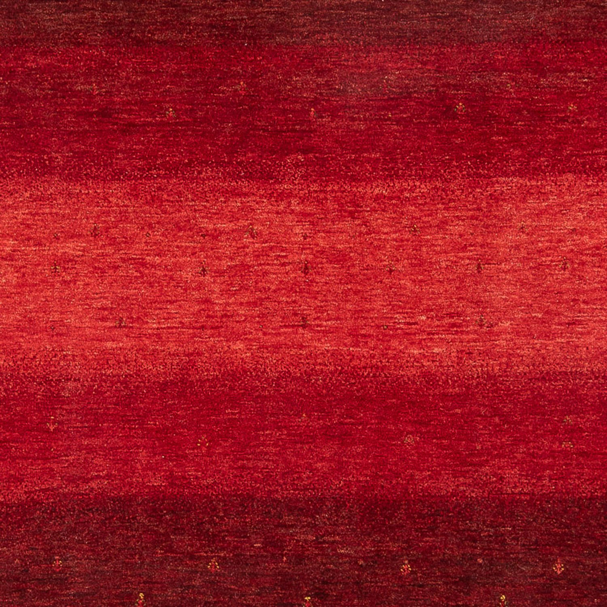 Gabbeh Tapijt - Loribaft Perzisch - 304 x 217 cm - rood