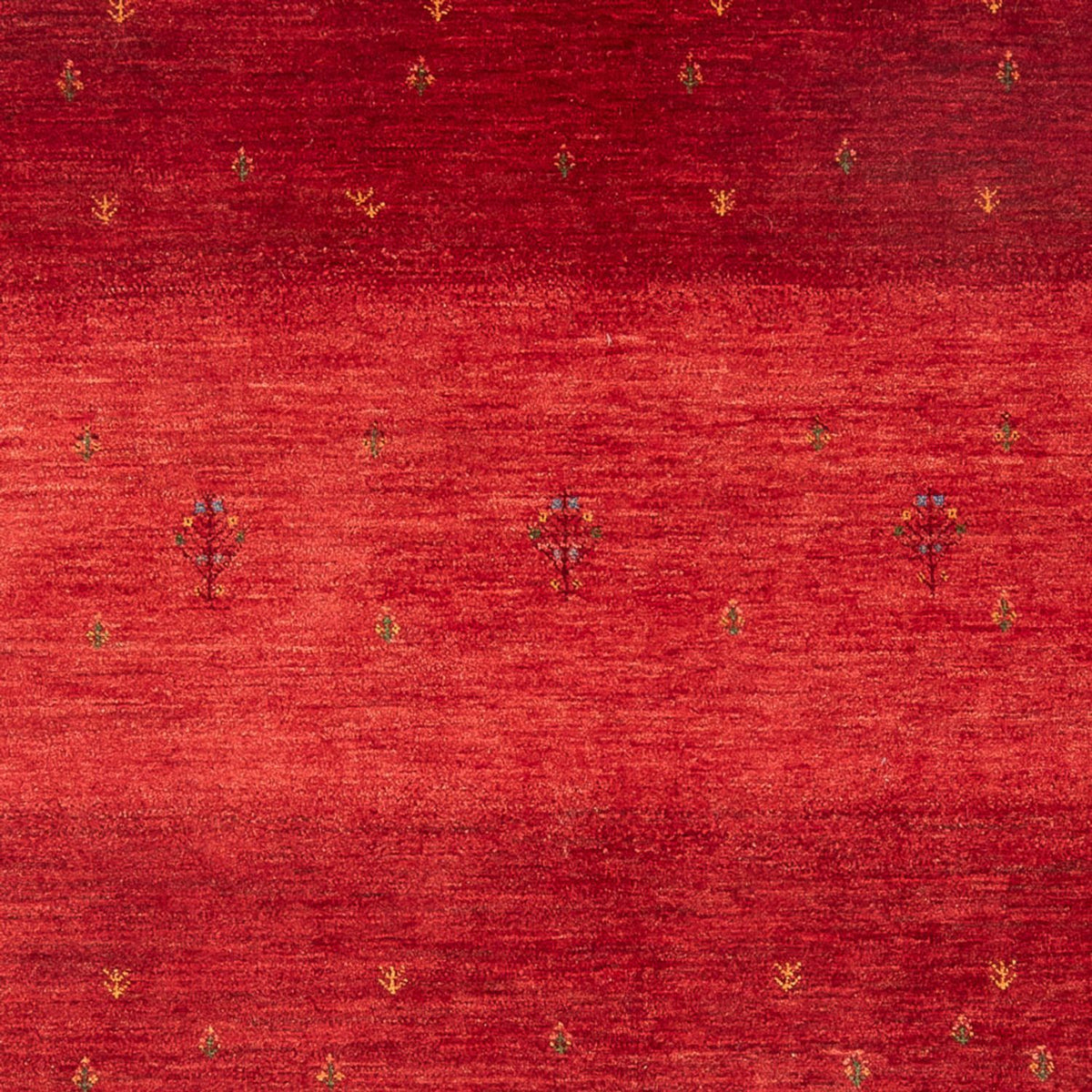 Gabbeh Tapijt - Loribaft Perzisch - 257 x 173 cm - rood