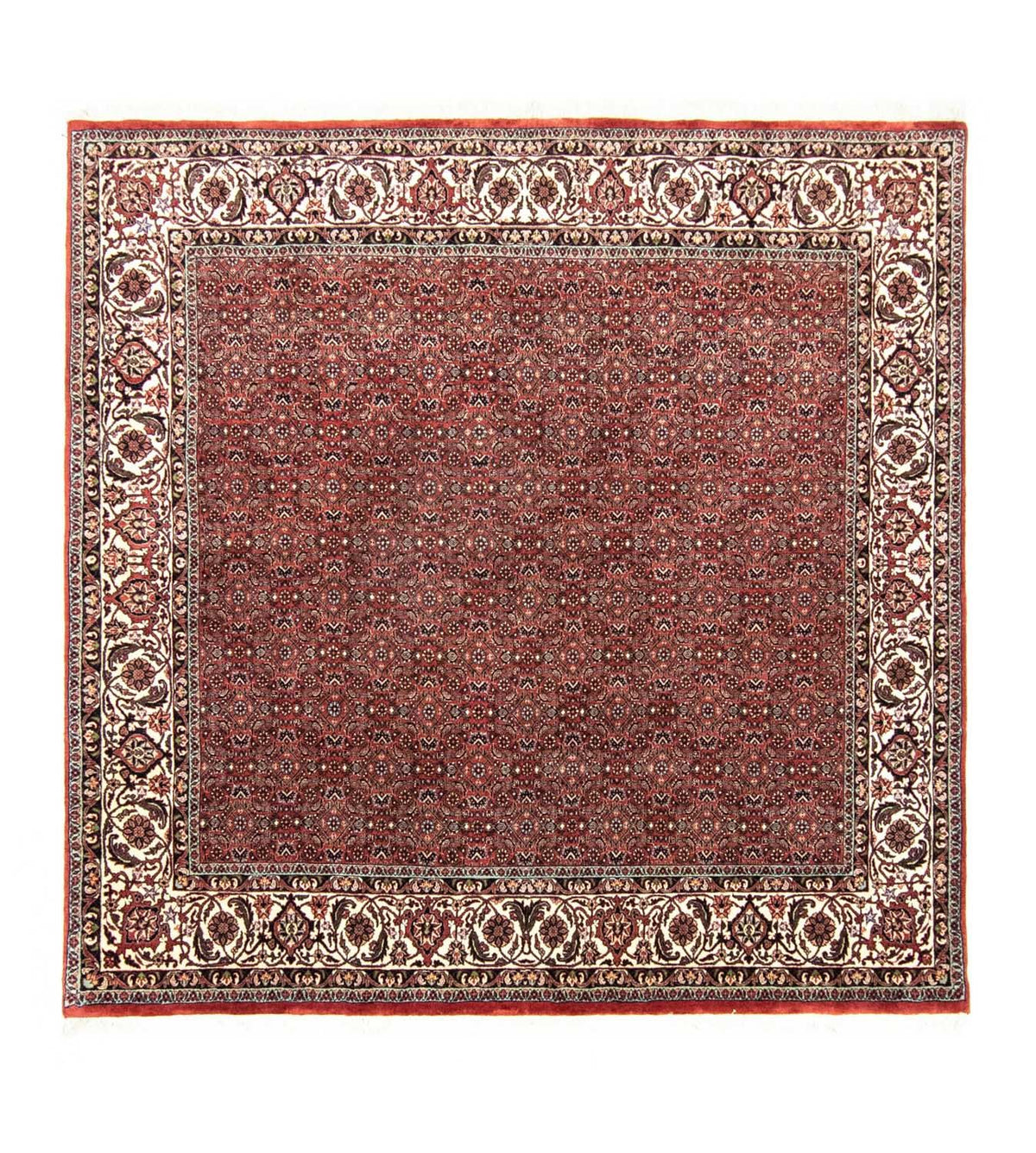 Perzisch tapijt - Bijar vierkant  - 203 x 201 cm - rood