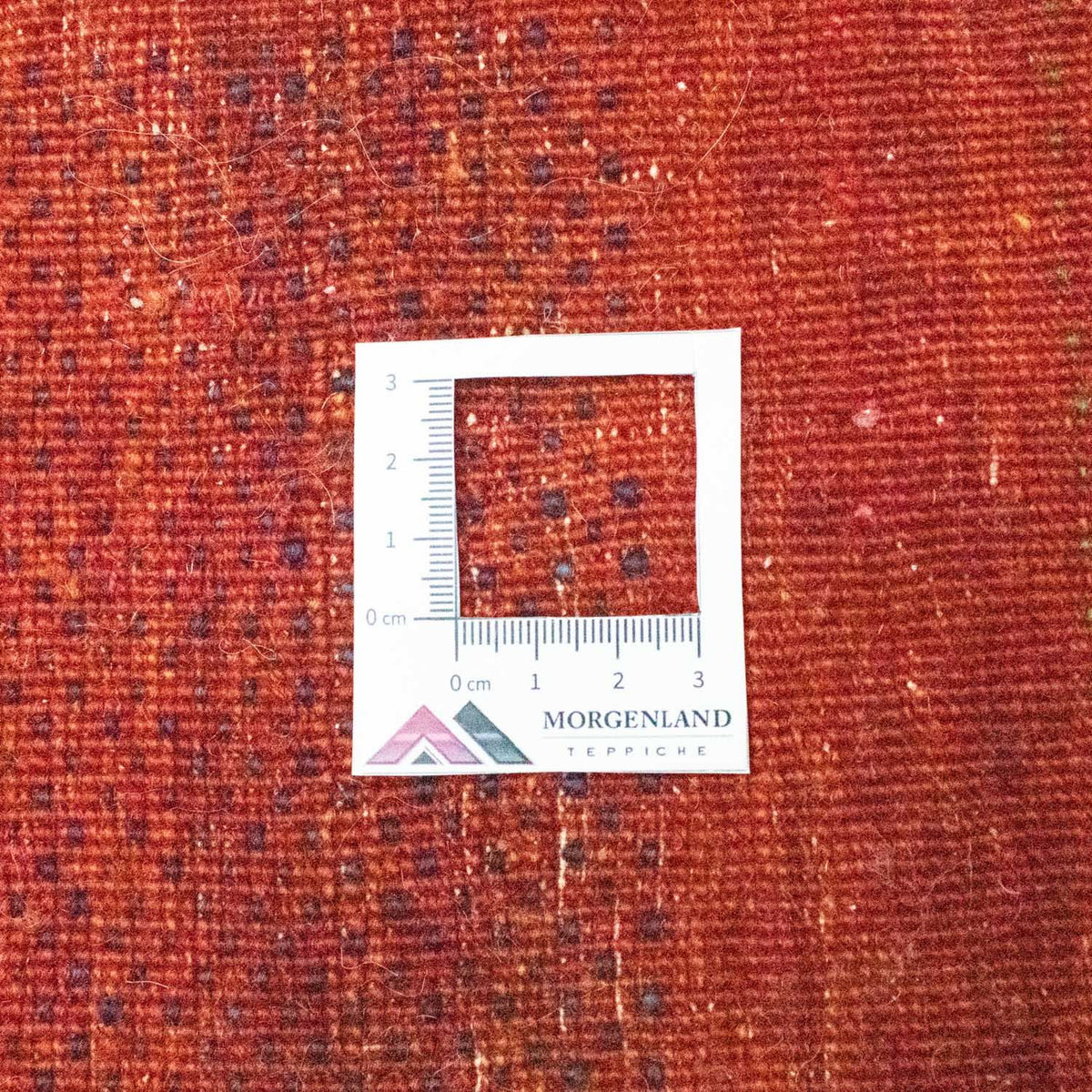 Gabbeh Tapijt - Loribaft Perzisch - 293 x 189 cm - rood