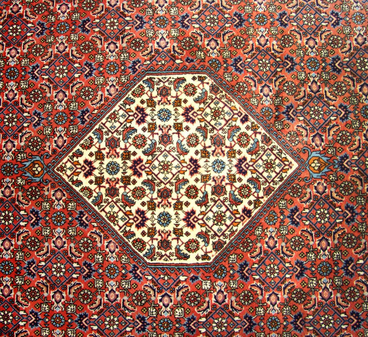 Perzisch tapijt - Bijar vierkant  - 260 x 247 cm - bruin