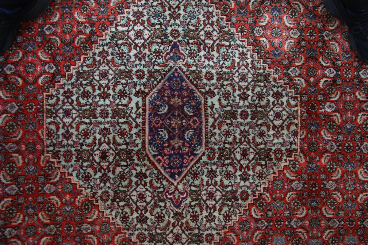 Perzisch tapijt - Bijar - 335 x 245 cm - bruin