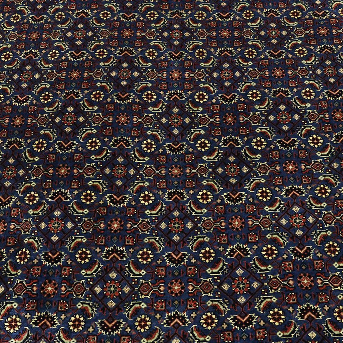 Perzisch tapijt - Bijar - Koninklijke - 319 x 256 cm - donkerblauw