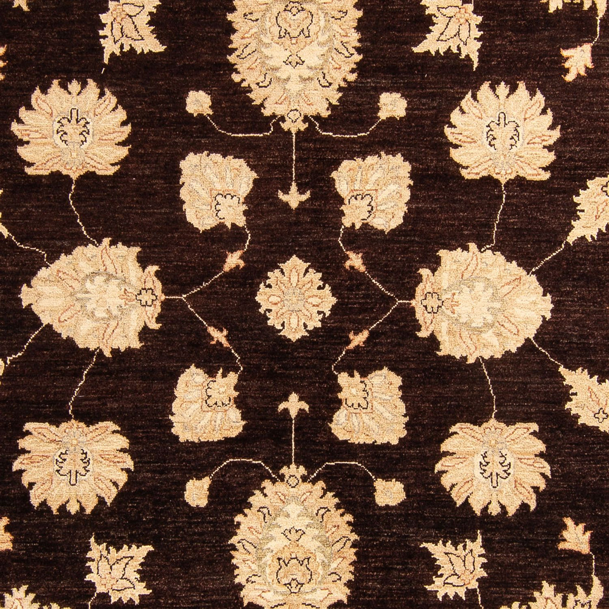 Ziegler tapijt - 288 x 207 cm - donkerbruin