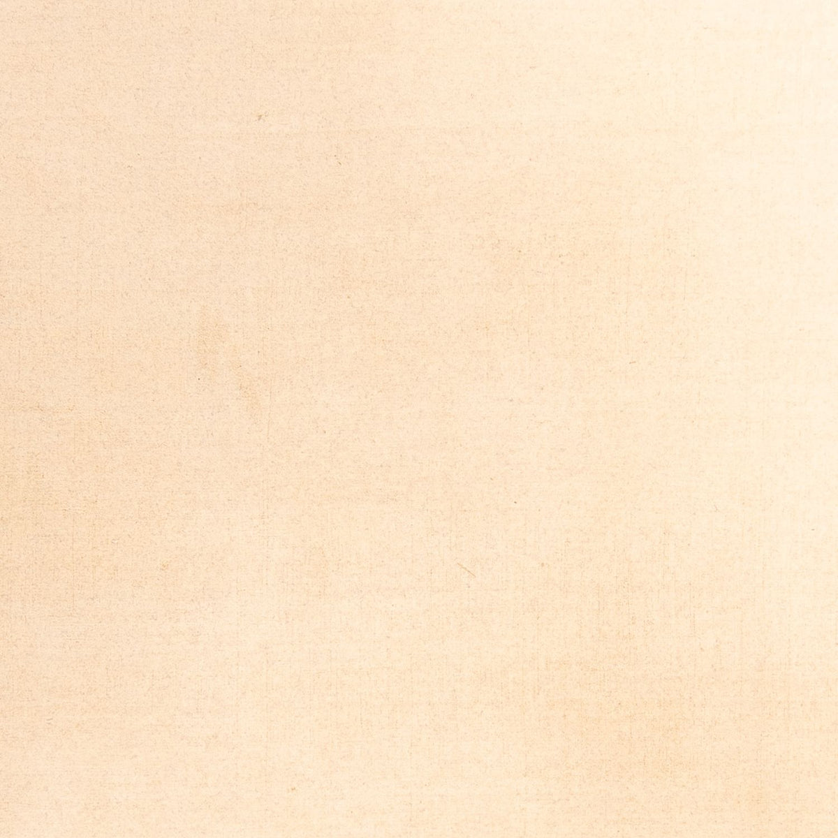 Gabbeh Tapijt - Zacht - 288 x 205 cm - beige