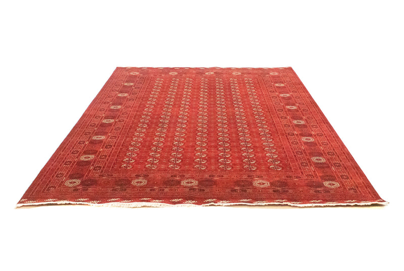 Afghaans tapijt - Bukhara - 293 x 203 cm - rood