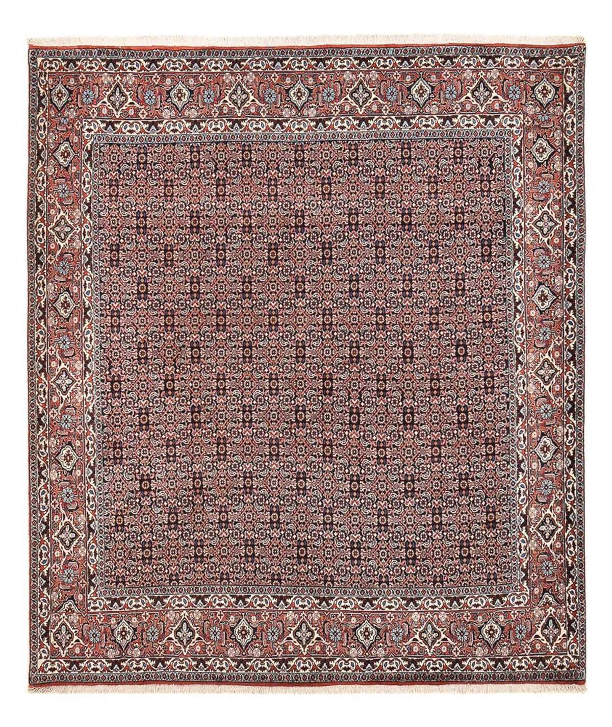 Perzisch tapijt - Bijar - 243 x 206 cm - roest