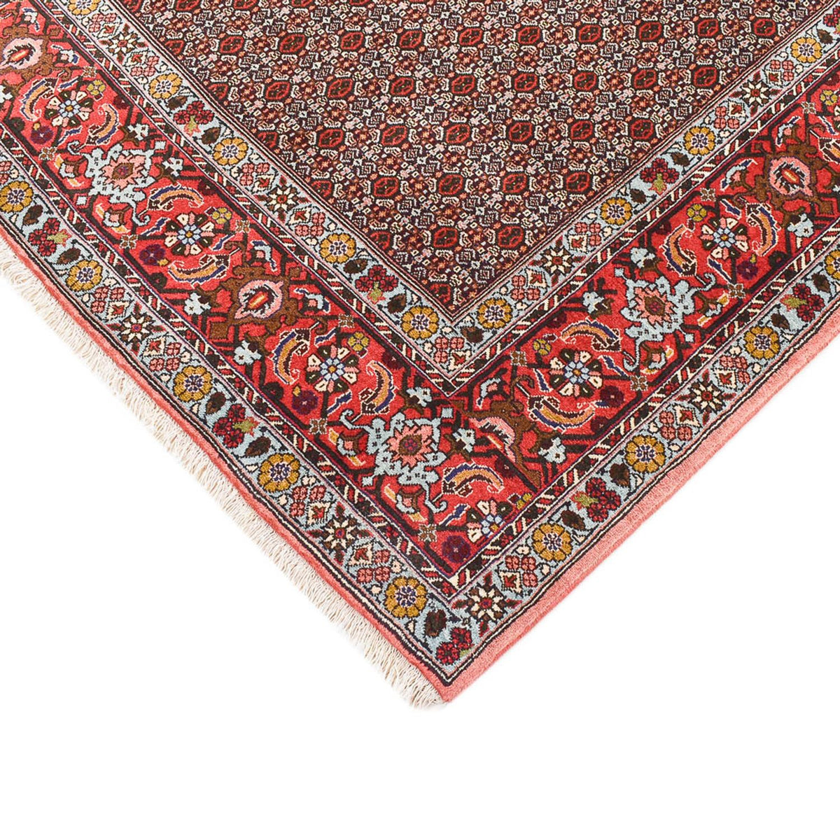 Perzisch tapijt - Klassiek - 346 x 250 cm - bruin