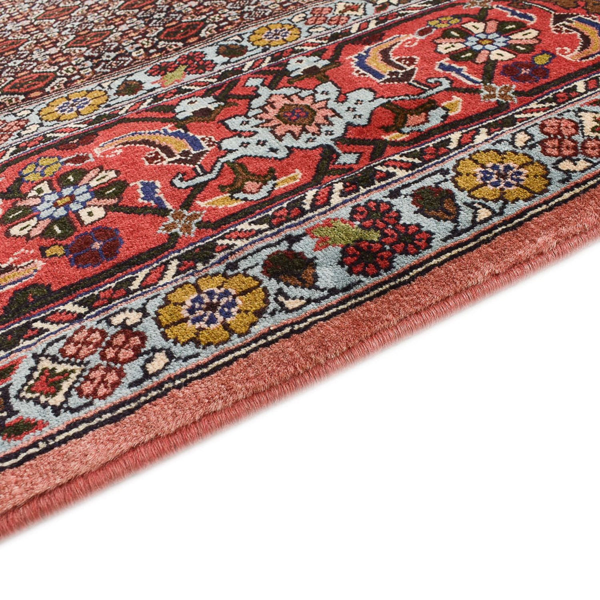 Senneh Tapijt 250x346cm - Perzisch tapijt