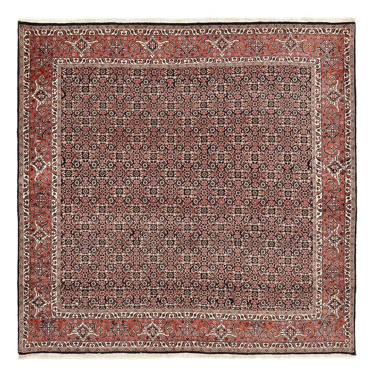 Perzisch tapijt - Bijar vierkant  - 205 x 205 cm - roest