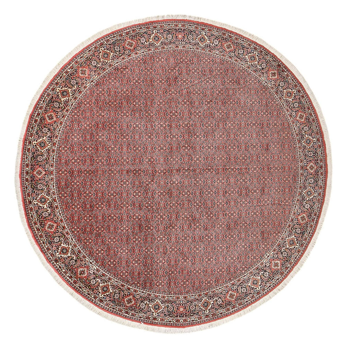 Perzisch tapijt - Bijar rond  - 300 x 300 cm - licht rood
