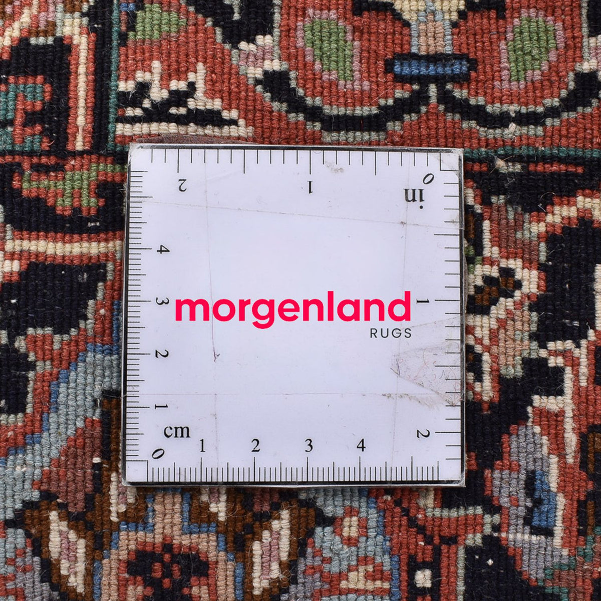 Perzisch tapijt - Bijar - 243 x 210 cm - lichtbruin