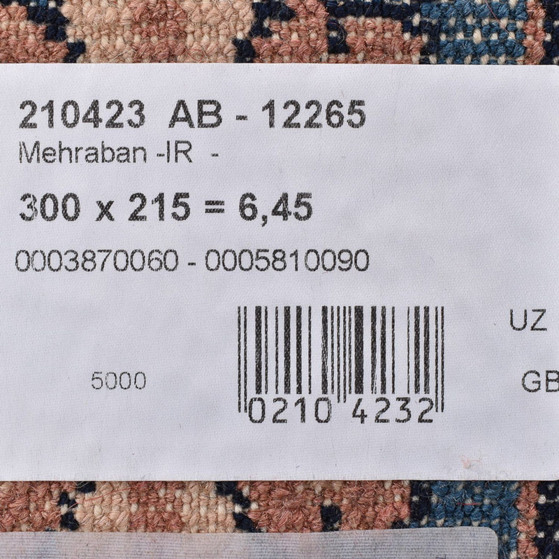 Perzisch Tapijt - Nomadisch - 300 x 215 cm - veelkleurig