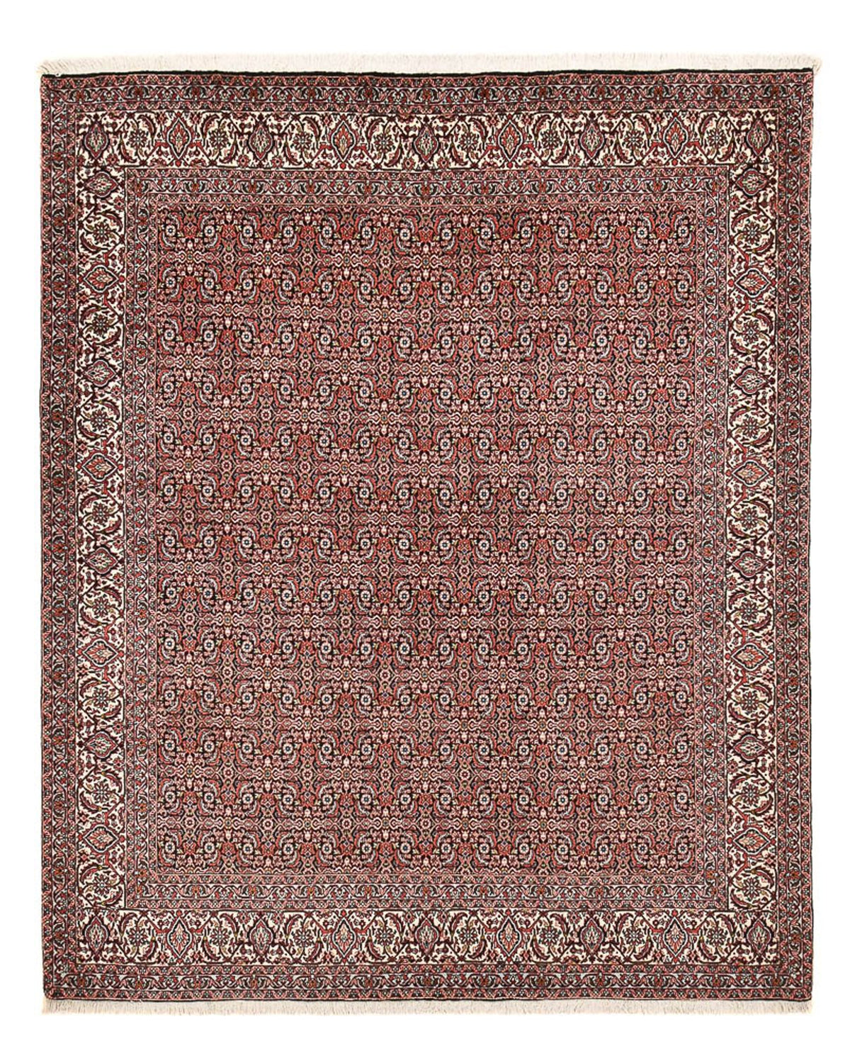 Perzisch tapijt - Bijar - 250 x 204 cm - roest