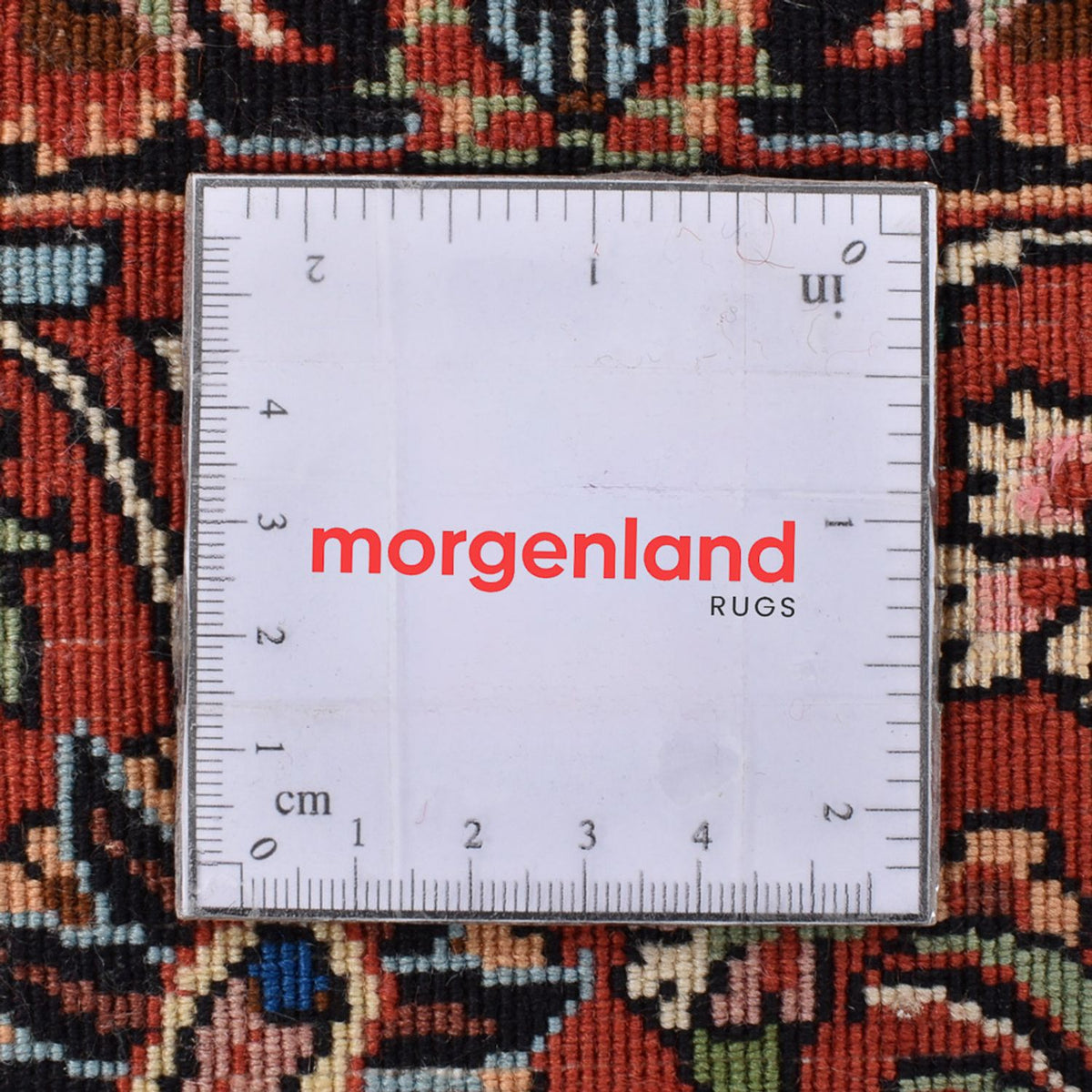 Perzisch tapijt - Bijar vierkant  - 251 x 241 cm - crème