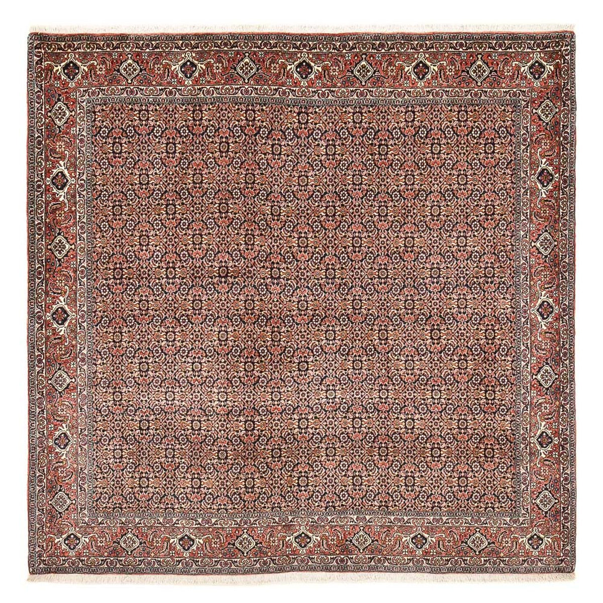 Perzisch tapijt - Bijar vierkant  - 204 x 203 cm - roest