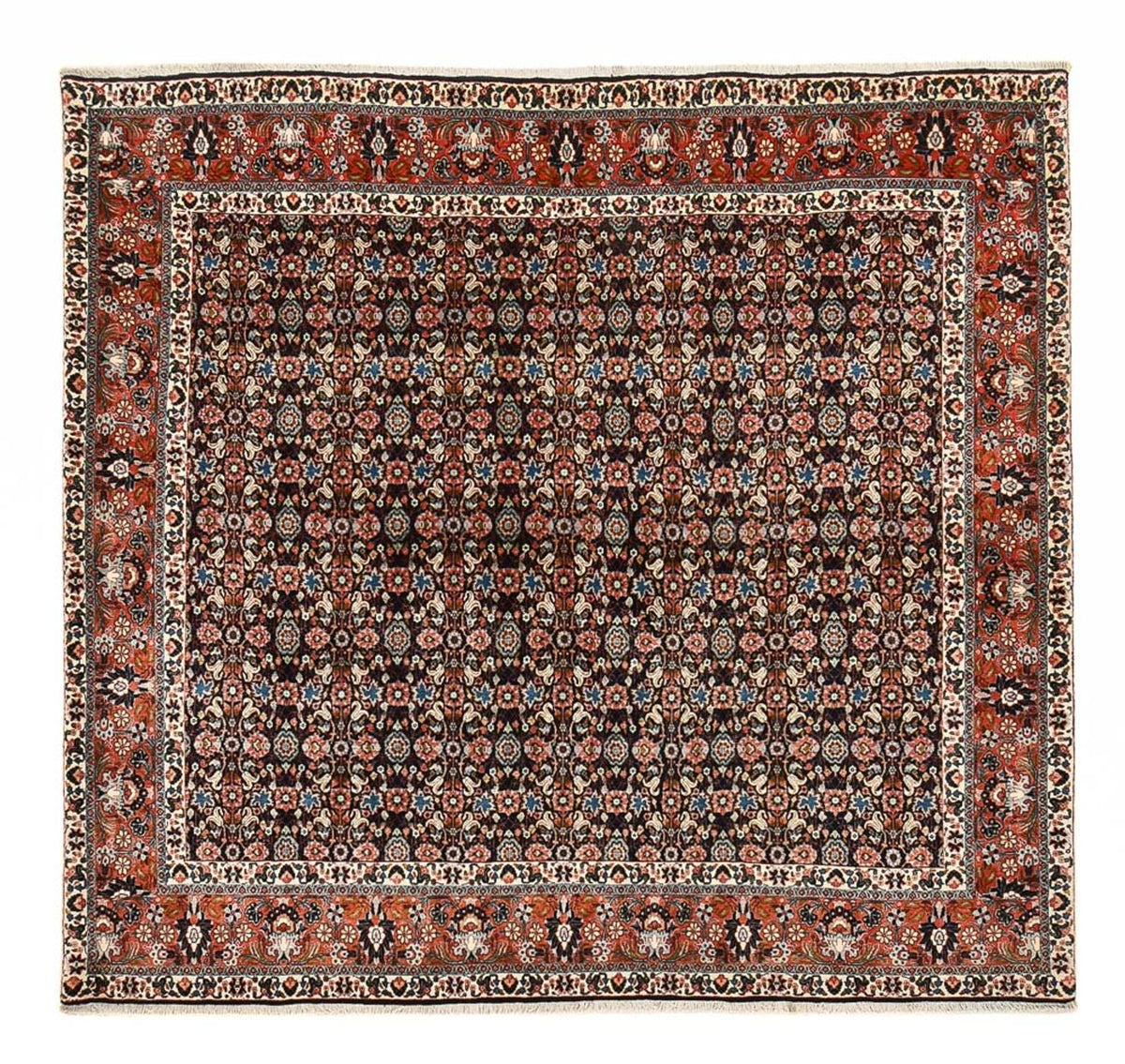 Perzisch tapijt - Bijar vierkant  - 254 x 243 cm - donkerrood