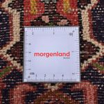 Loper Perzisch Tapijt - Nomadisch - 287 x 68 cm - rood