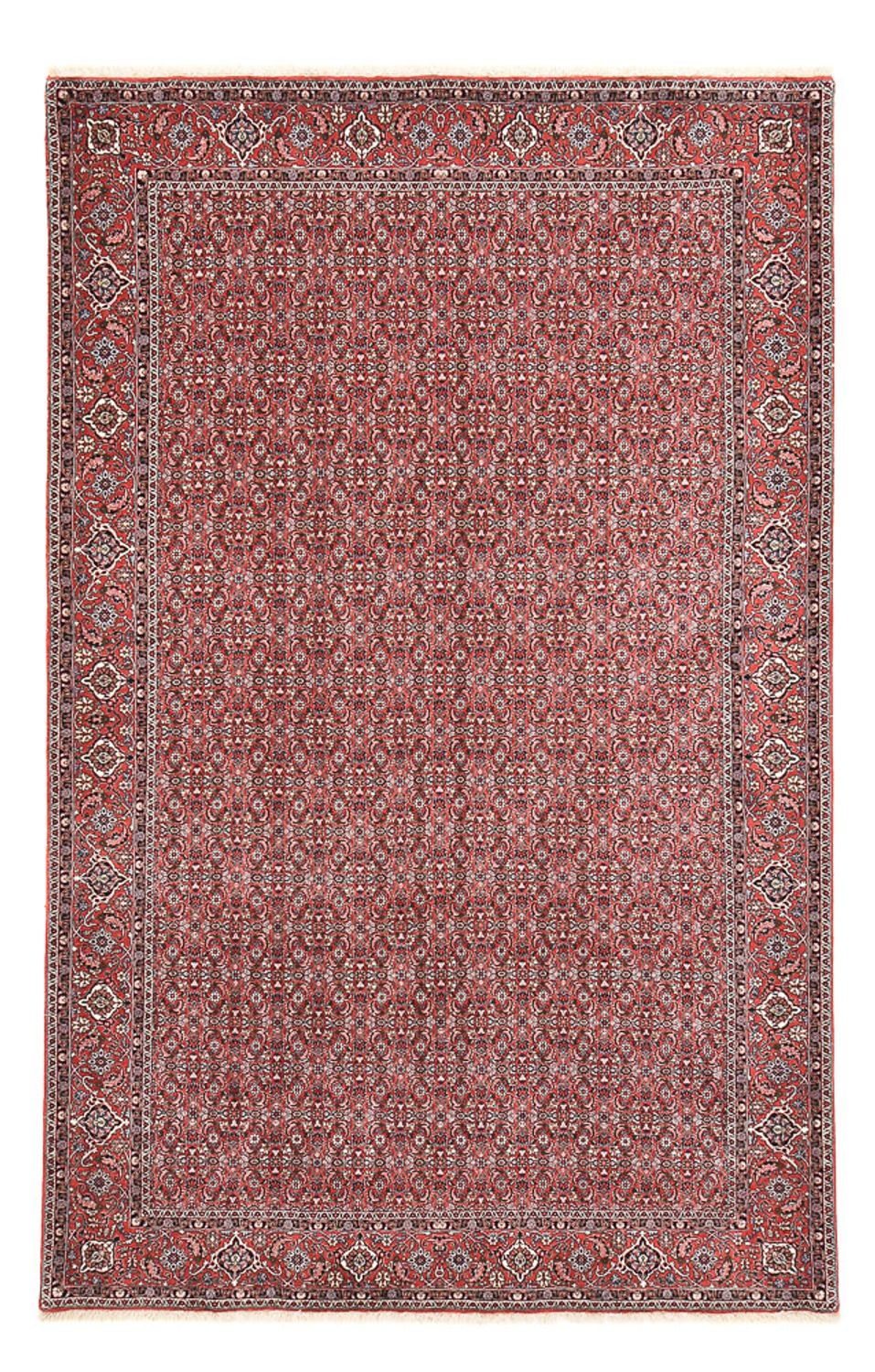 Perzisch tapijt - Bijar - 347 x 221 cm - roest