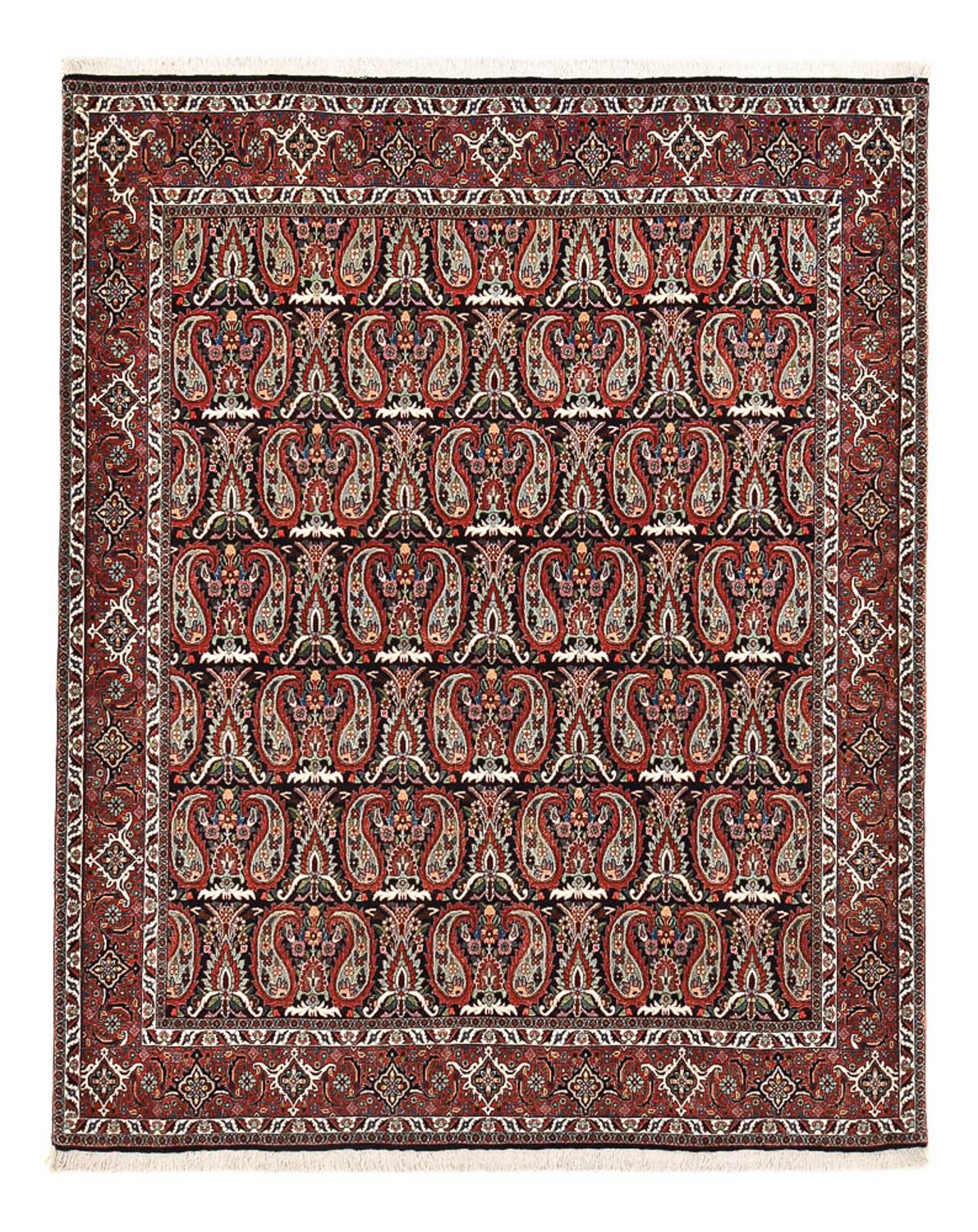 Perzisch tapijt - Bijar - 248 x 208 cm - roest