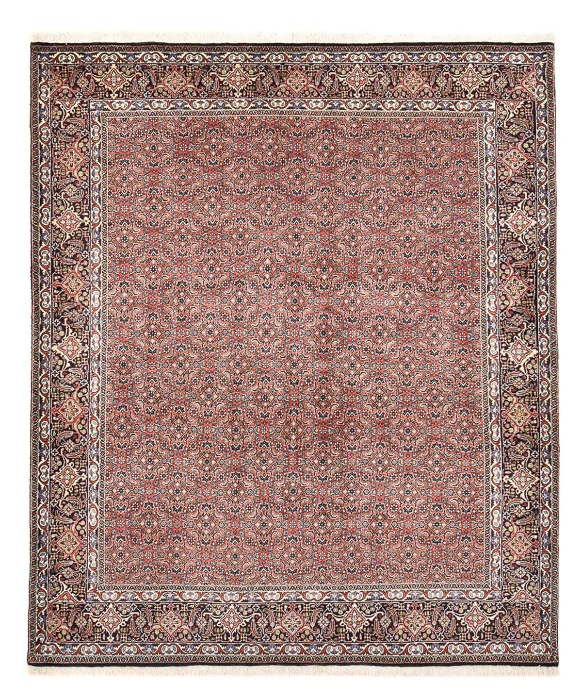 Perzisch tapijt - Bijar - 244 x 204 cm - roest