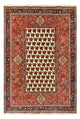 Kashkuli Tapijt 260x172cm - Perzisch tapijt