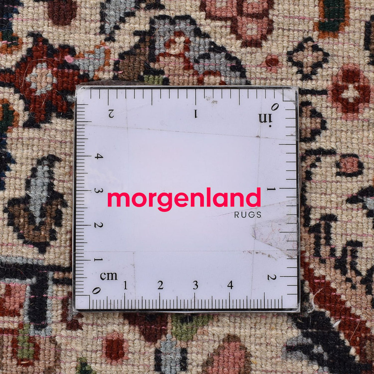 Perzisch tapijt - Klassiek - 350 x 242 cm - lichtbruin