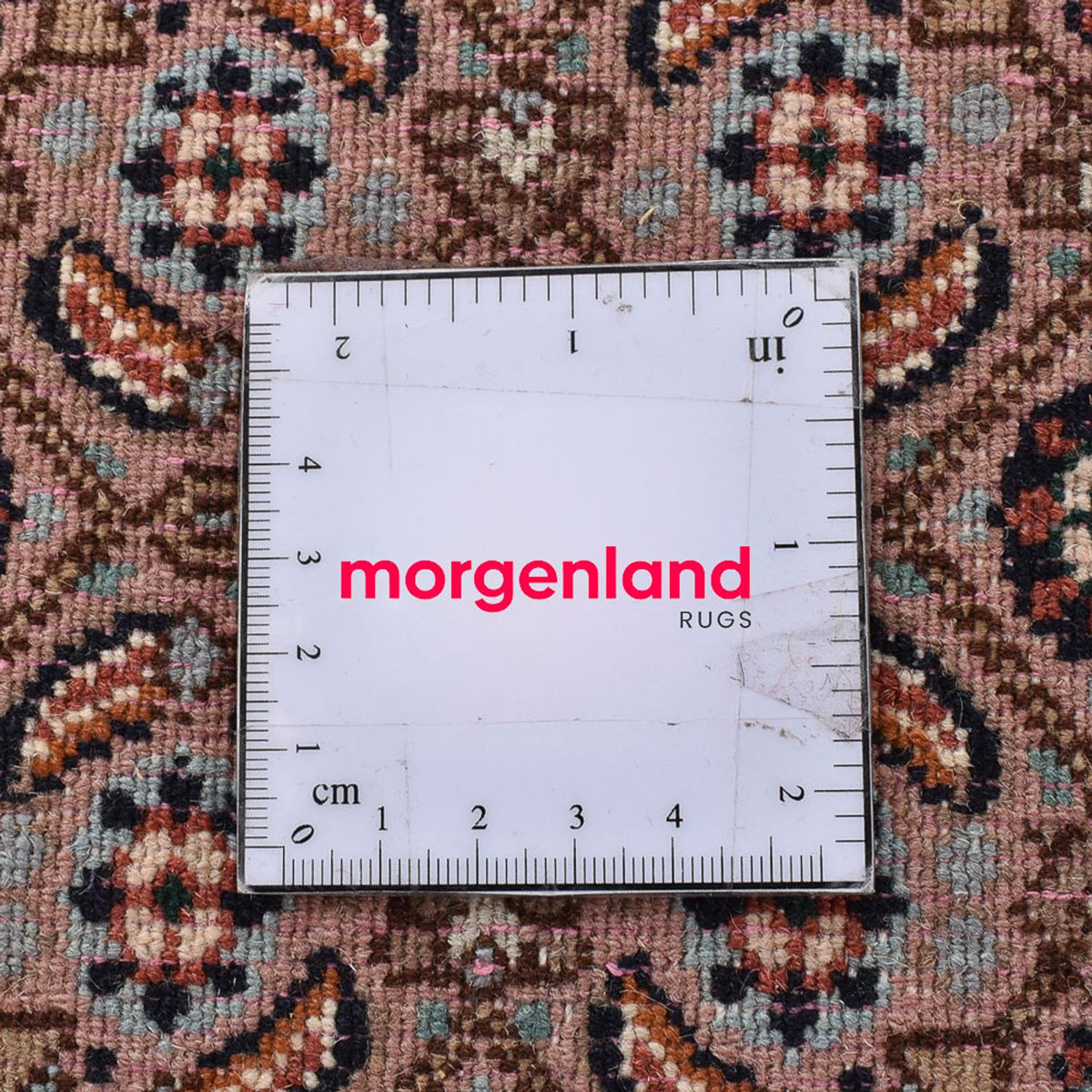 Perzisch tapijt - Klassiek - 346 x 246 cm - lichtbruin