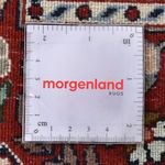 Perzisch tapijt - Klassiek - 290 x 204 cm - roest