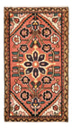 Hamadan Tapijt 100x54cm - Perzisch tapijt