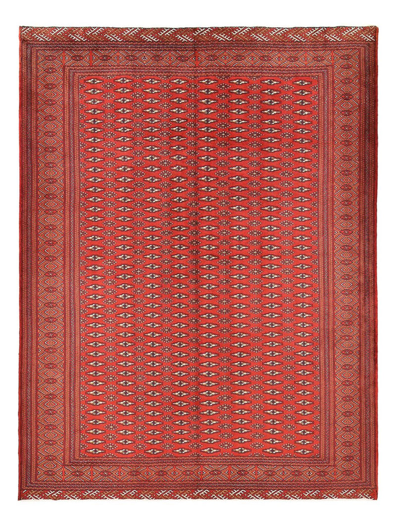 Turkaman tapijt - 338 x 253 cm - rood