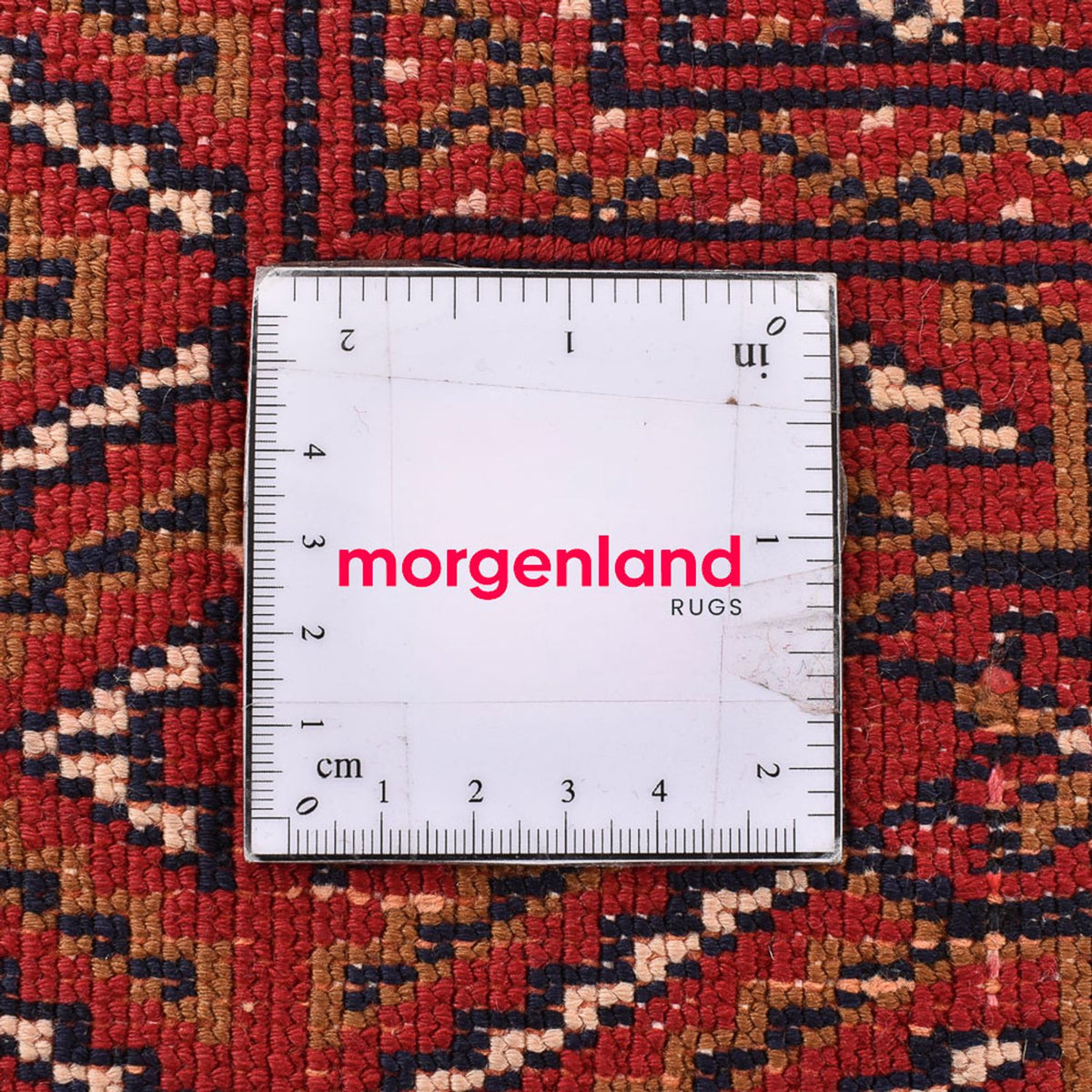 Turkaman tapijt - 338 x 253 cm - rood