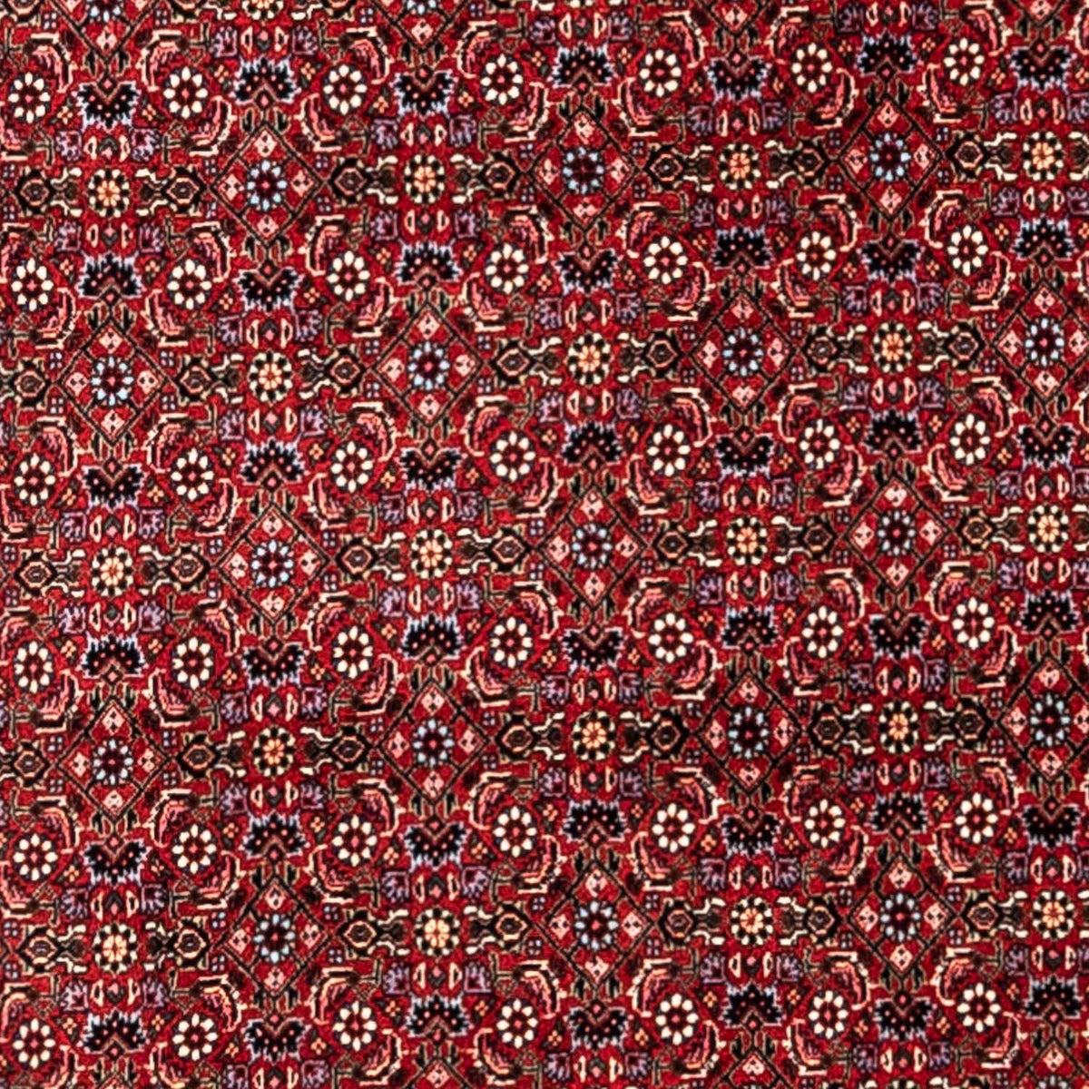 Perzisch tapijt - Bijar - Koninklijk - 331 x 254 cm - rood