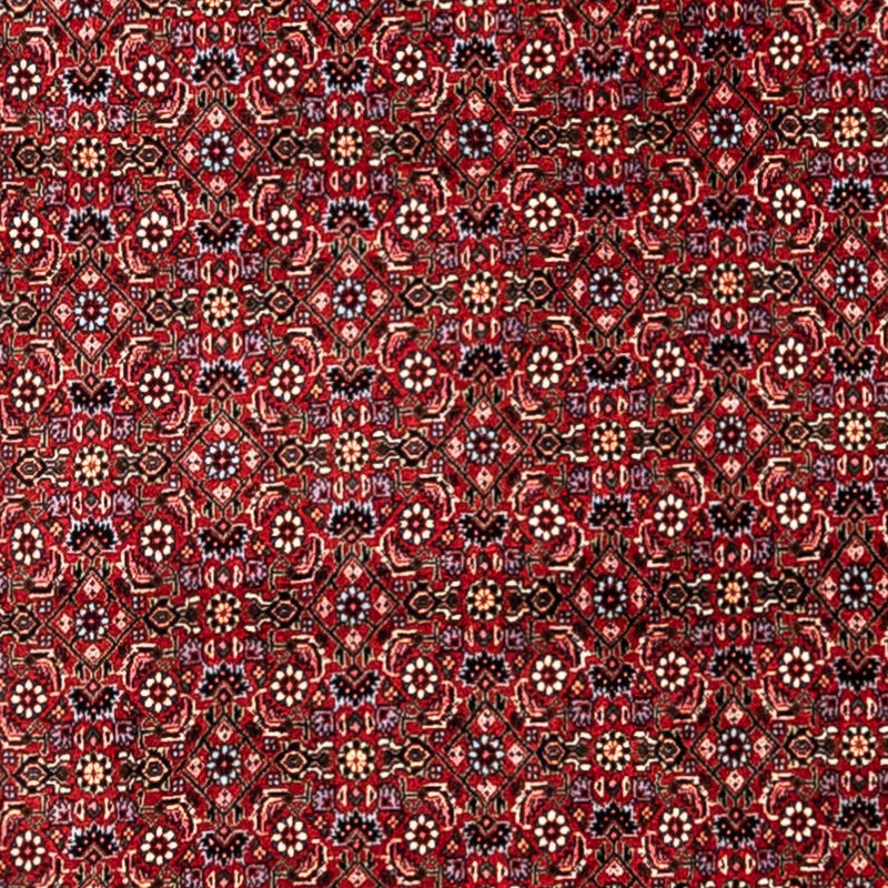 Perzisch tapijt - Bijar - Koninklijk - 331 x 254 cm - rood