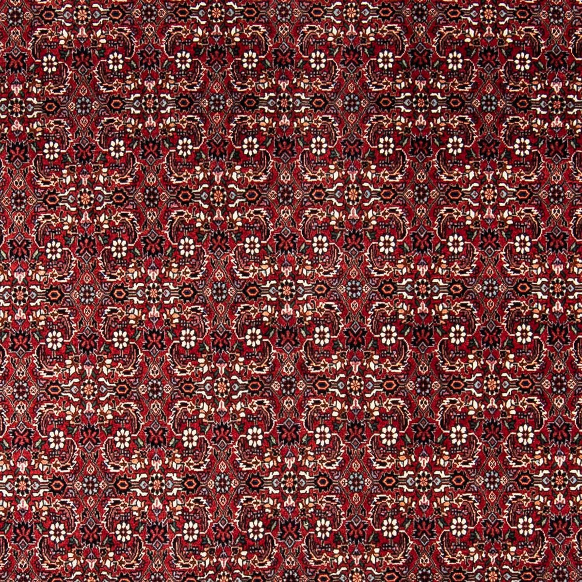 Perzisch tapijt - Bijar - 240 x 168 cm - donkerrood