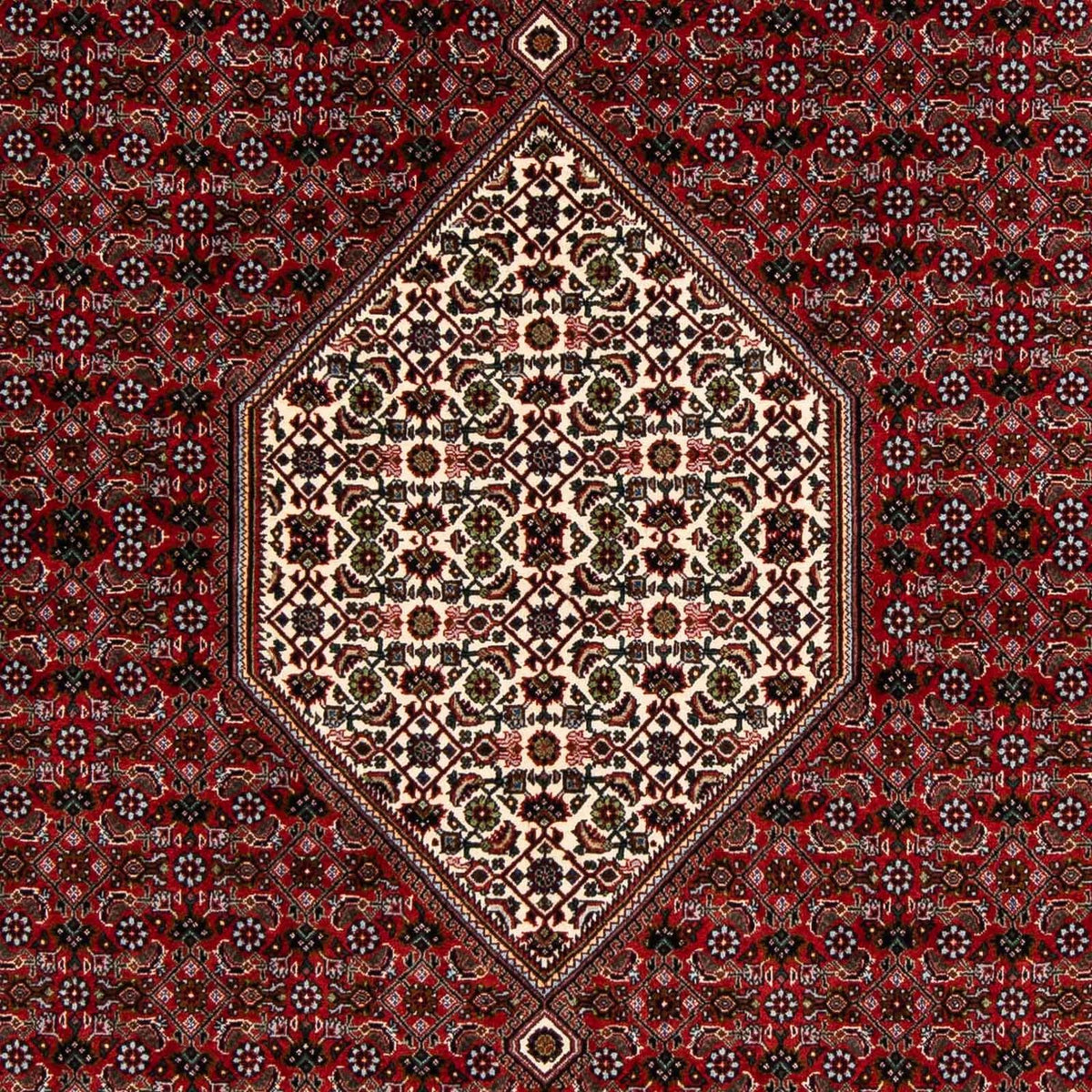 Perzisch tapijt - Bijar vierkant  - 203 x 196 cm - donkerrood