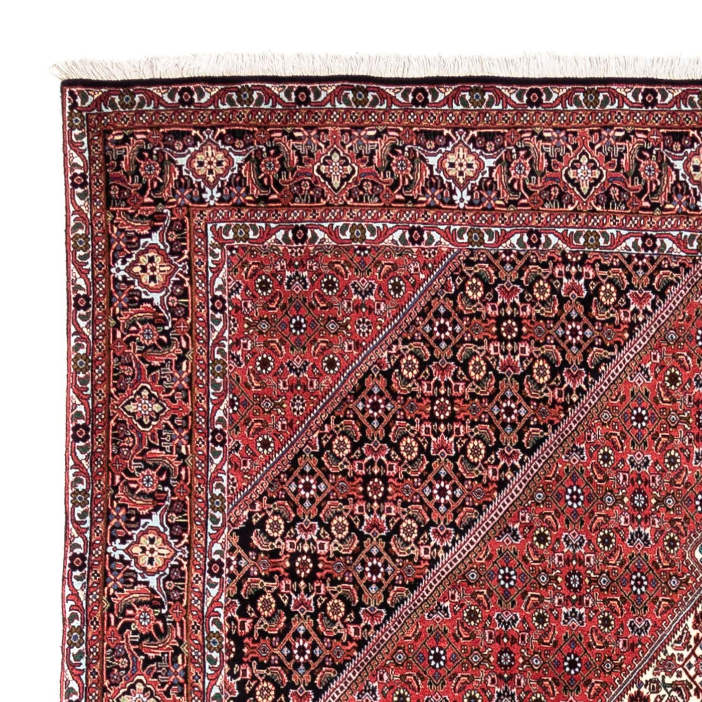 Bidjar - Takab Tapijt 300x200cm - Perzisch tapijt