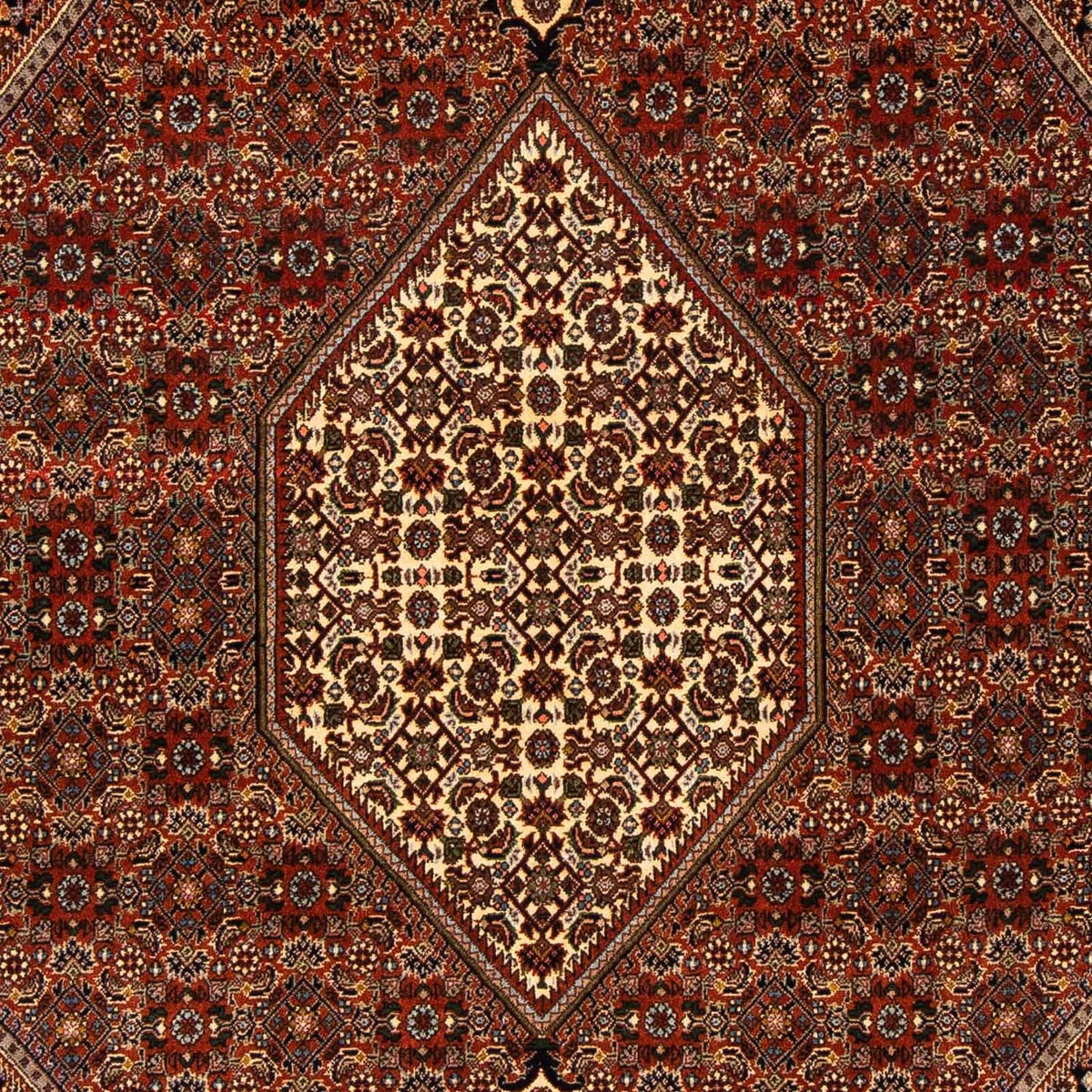 Perzisch tapijt - Bijar - 274 x 171 cm - bruin