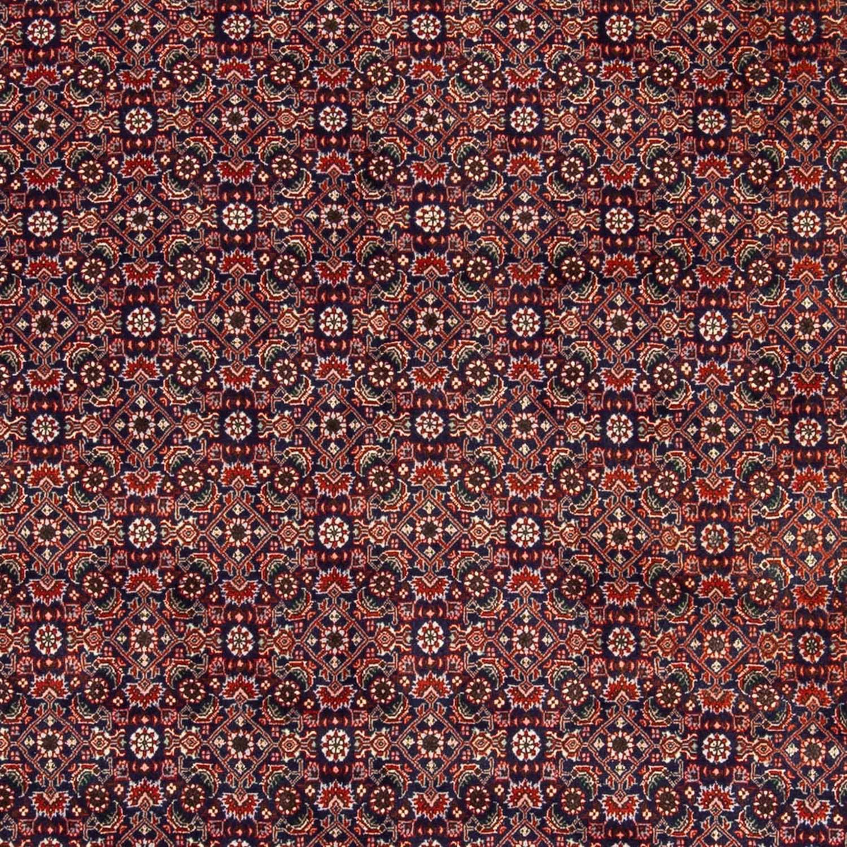 Perzisch tapijt - Bijar - 237 x 168 cm - licht rood