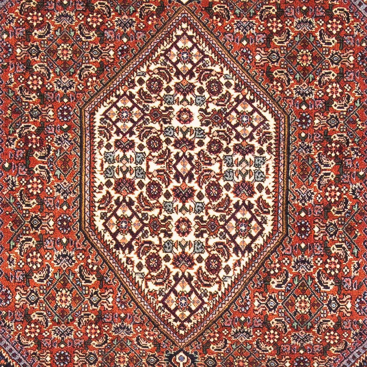 Perzisch tapijt - Bijar - 152 x 105 cm - rood