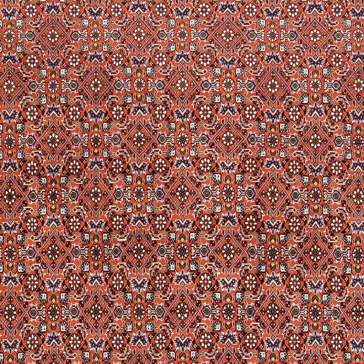 Perzisch tapijt - Bijar - 230 x 168 cm - roest