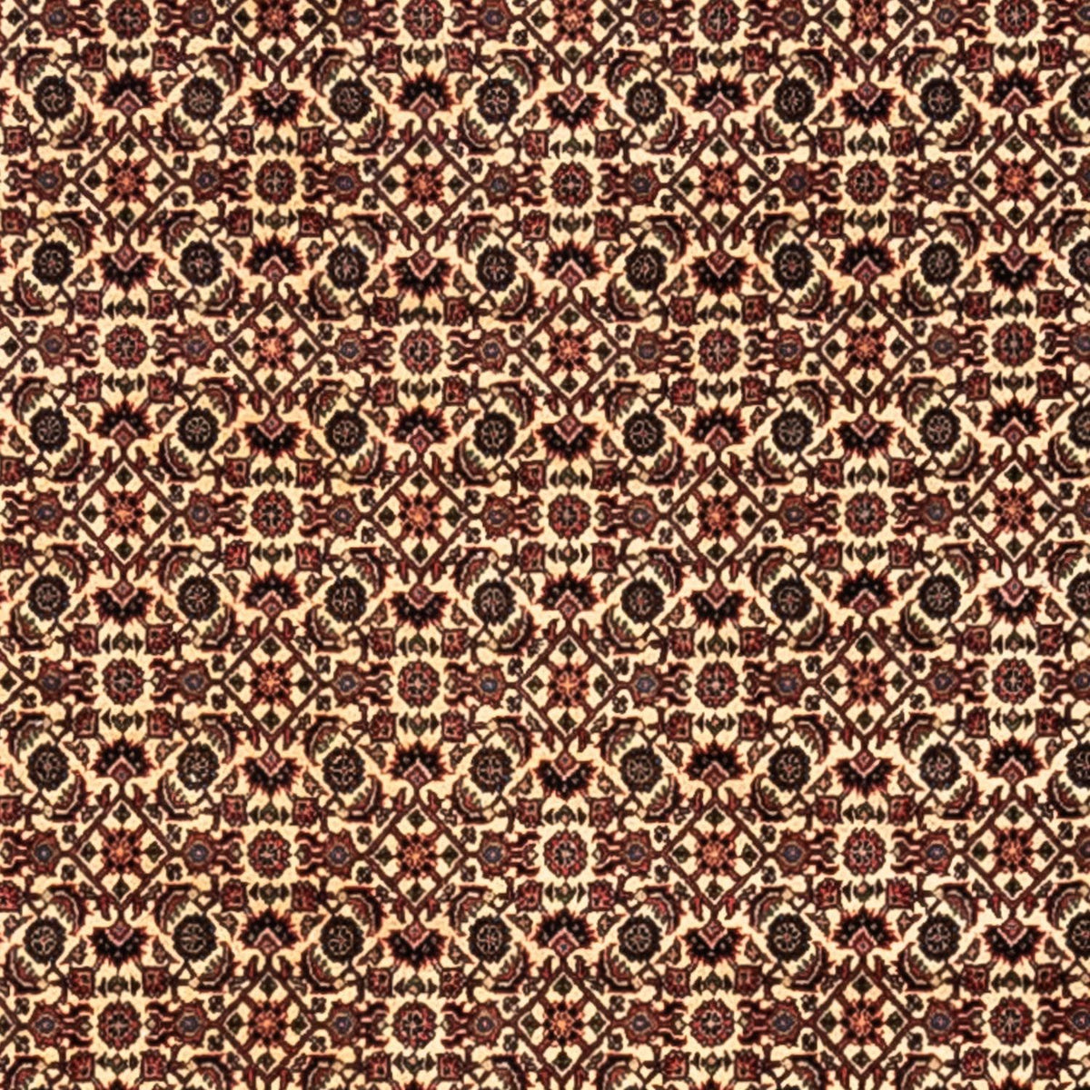 Perzisch tapijt - Bijar - Koninklijk - 302 x 208 cm - beige